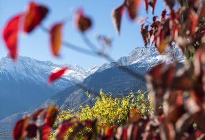 Herbstwoche im Sonnbichl